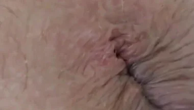 The Daddy Bear