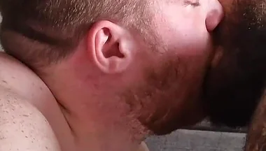 Ginger Cub and Hairy Bear Two-tops Action