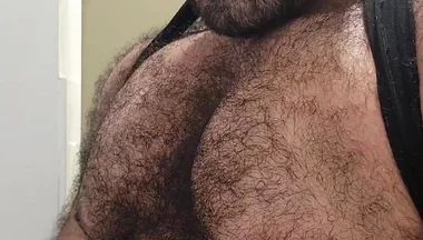 Solo Bear