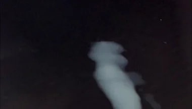 What Does Sperm Experience in Slow Motion?