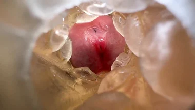 Orgasm on Peak Solo Morning Dirty Talk