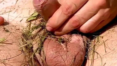 Caressing the Dick, Under the Summer Sun.