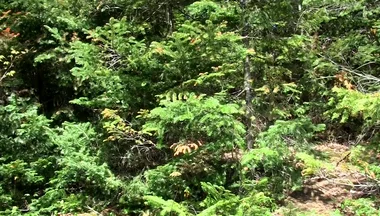 An Outdoor Cum Eruption!