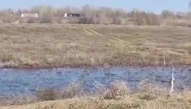 Fuck Me on the Side of the Road, Shove a Big Cock with Cum up My Ass