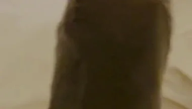 Nothing Stops Me From Wanking to Porn Daily