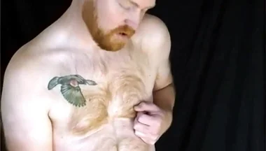 You Like Lookin' at This Fuzzy Ginger Fella?