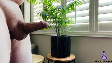 Lotioned up & Explosion