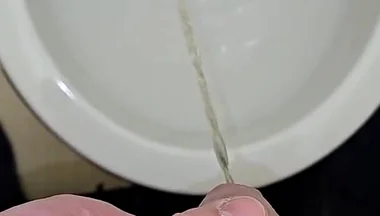 Pissing to the Toilet