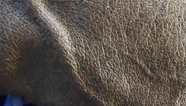 Veiny BBC Flashing