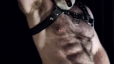Hairy Muscle Leather Stepdaddy Showing off