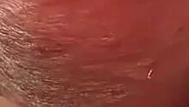 Compilation of Several of My Recent Cumshots