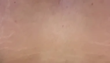Im a Lovers of Cocks