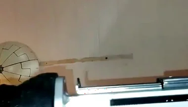 Mr. Hankey's Dragon Dildo Xl Full Insertion Doggy Anal Fucking Machine