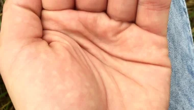 Hands Close up, Palms Close up, Cumshot on Both Hands