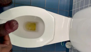 Jerking off in the Office Washroom