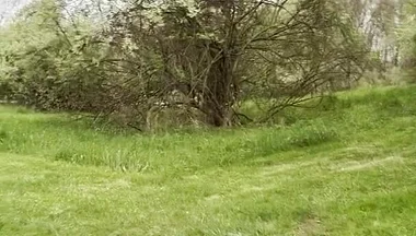 Jockstrap Park Tease: Muscular Asian Hunk Flexes, Fucks the Grass & Explodes in Cum