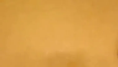 Black Cock Shots