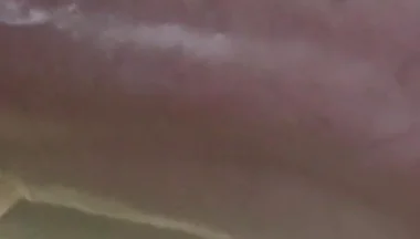 My Cock in a Vacuum
