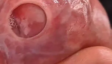 Big Uncut Daddy.. Tight Phimosis Foreskin Play, Precum Flood, and Cumplay