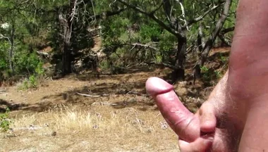 Nude Wank in the Woods and Fields 2