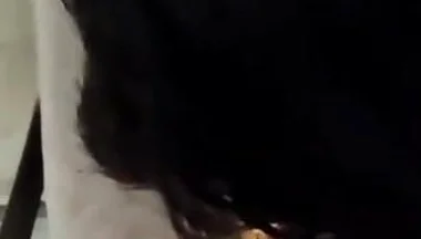 The Boy Sucks the Cock of the Mature Daddy