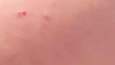 My Big Ass Is Way Better Than a Woman’s, and It Never Gets Pregnant.