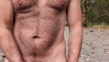 A Bear in the Wild