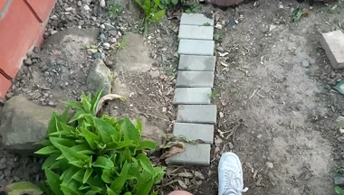Risky! I Play on the Street with My Dick