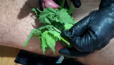 Cum with Nettles Inside Dick