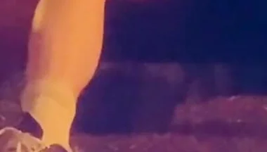 Horny Straight Boys Get Curious at Night