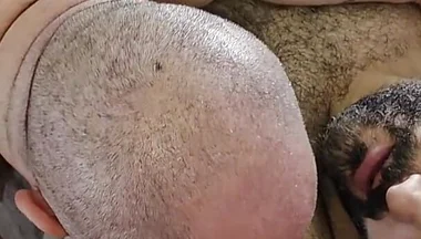 Young Bear and Mature Bear Having Fun
