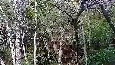 I Went to the Waterfall and Showed off Before Someone Came and Caught Me.