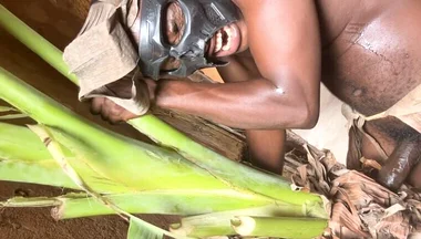 African Jujujar Bangcum