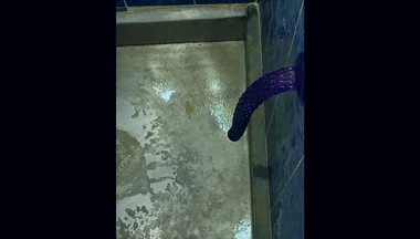 Back in the Shower, Playing with My Anus Again...