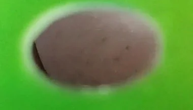 You Can See My Ass Through the Holes in the Green Screen