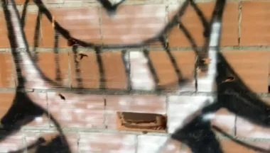 Amateur Boy Caught Bare Ass in Abandoned Building