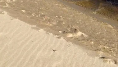 Beach Walk
