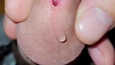Cock Inspection