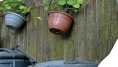 Live Outdoor Strip,dildo and Sounding Show with Cum