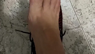 Pies Pies Pies