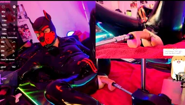 Doggy Rubber Show