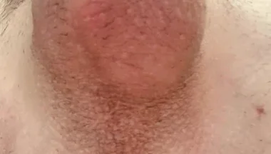 Do You Like Shaved or Hairy?