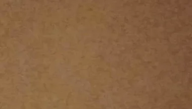 Lets Have Cum Together