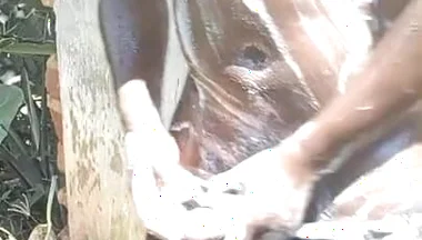 Black Teen Showering While Masturbating in Neighbors Washrooms