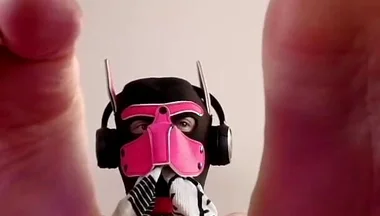 Paws Took Over Your Screen