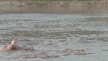 Exploring the Deep and Creamy Mud Pond