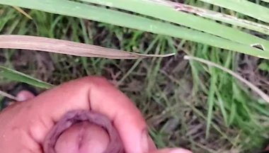 Masturbating in the Sugarcane Field