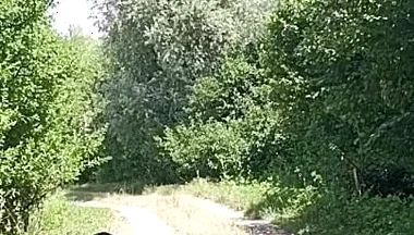 Risky Cock Jerking on an Abandoned Field / Risky Solo Outdoors