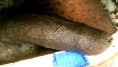 Great Massaging