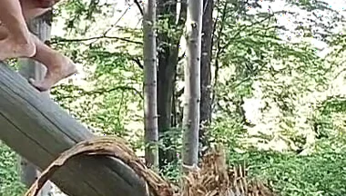 Hardcore Outdoor: Rough Handjob in Fresh Air